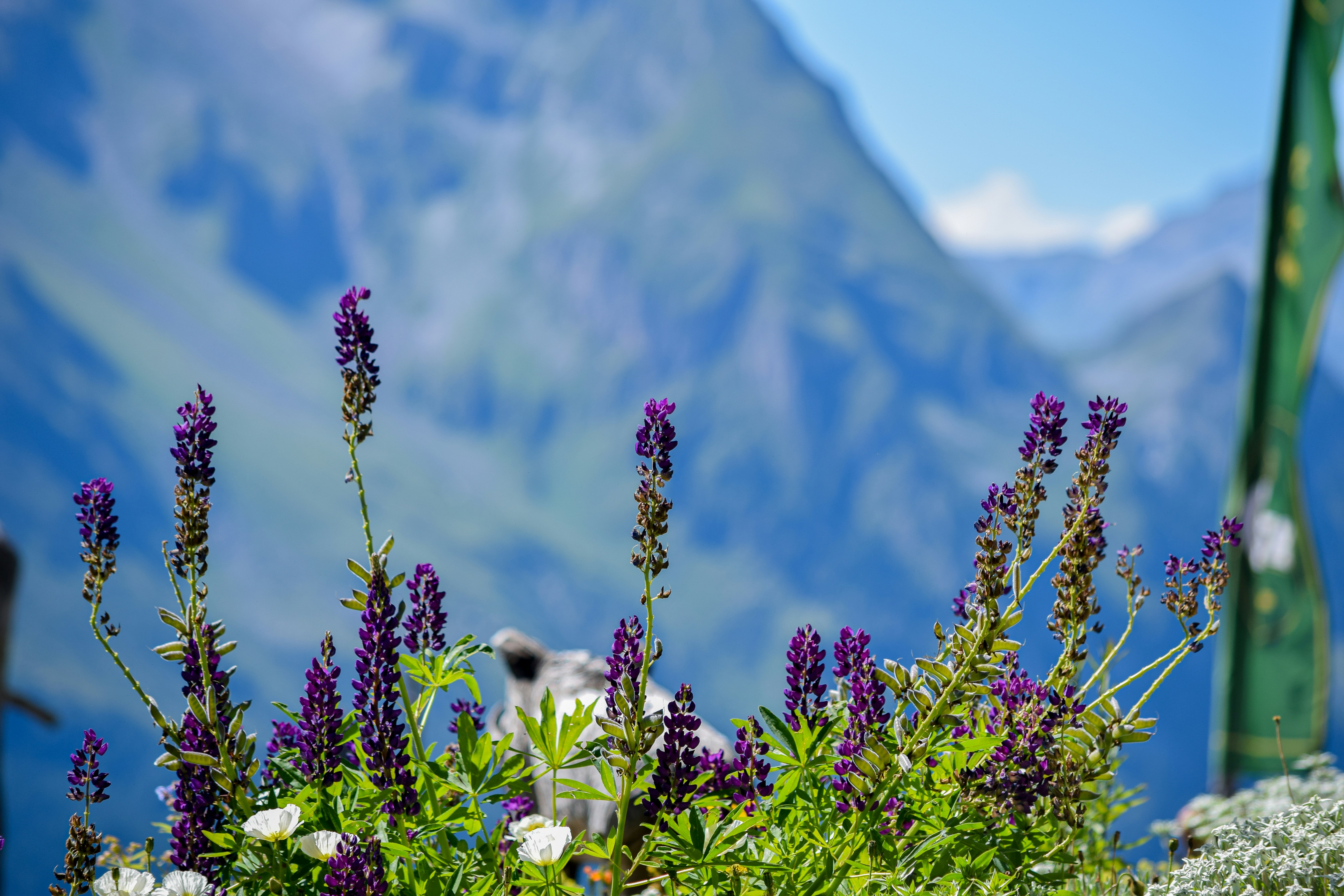 Photo by sheetal_cool