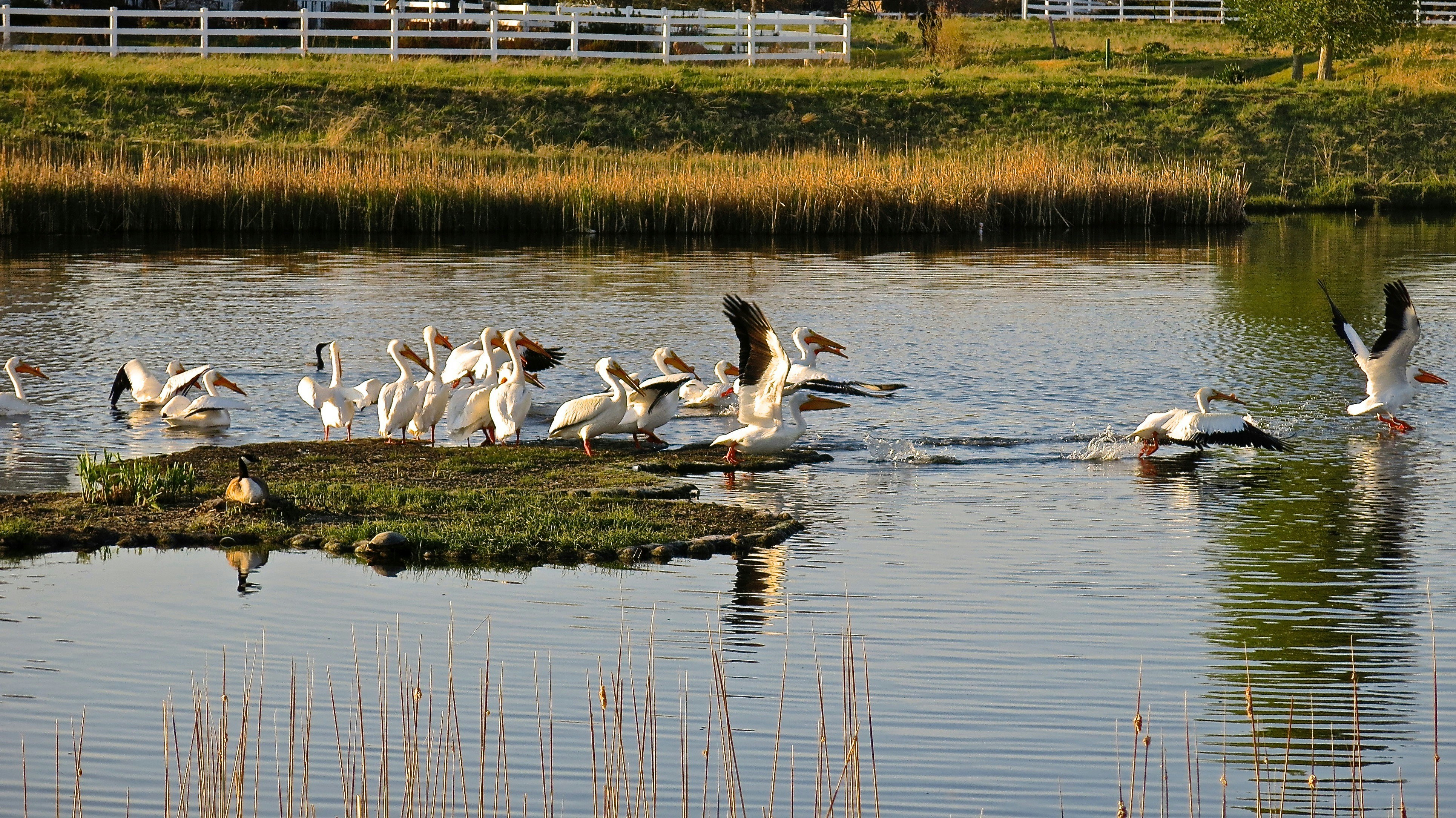 Photo by chuck_richardson