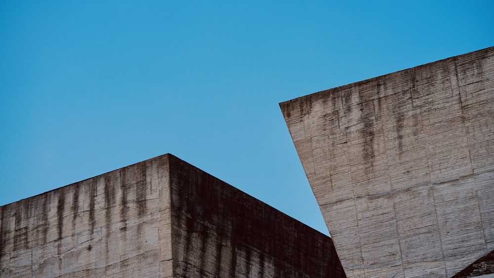 a bird is sitting on the ledge of a building