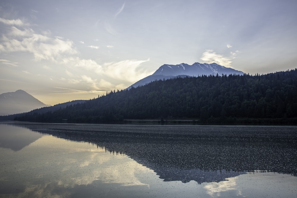 Acqua calma vicino all'isola