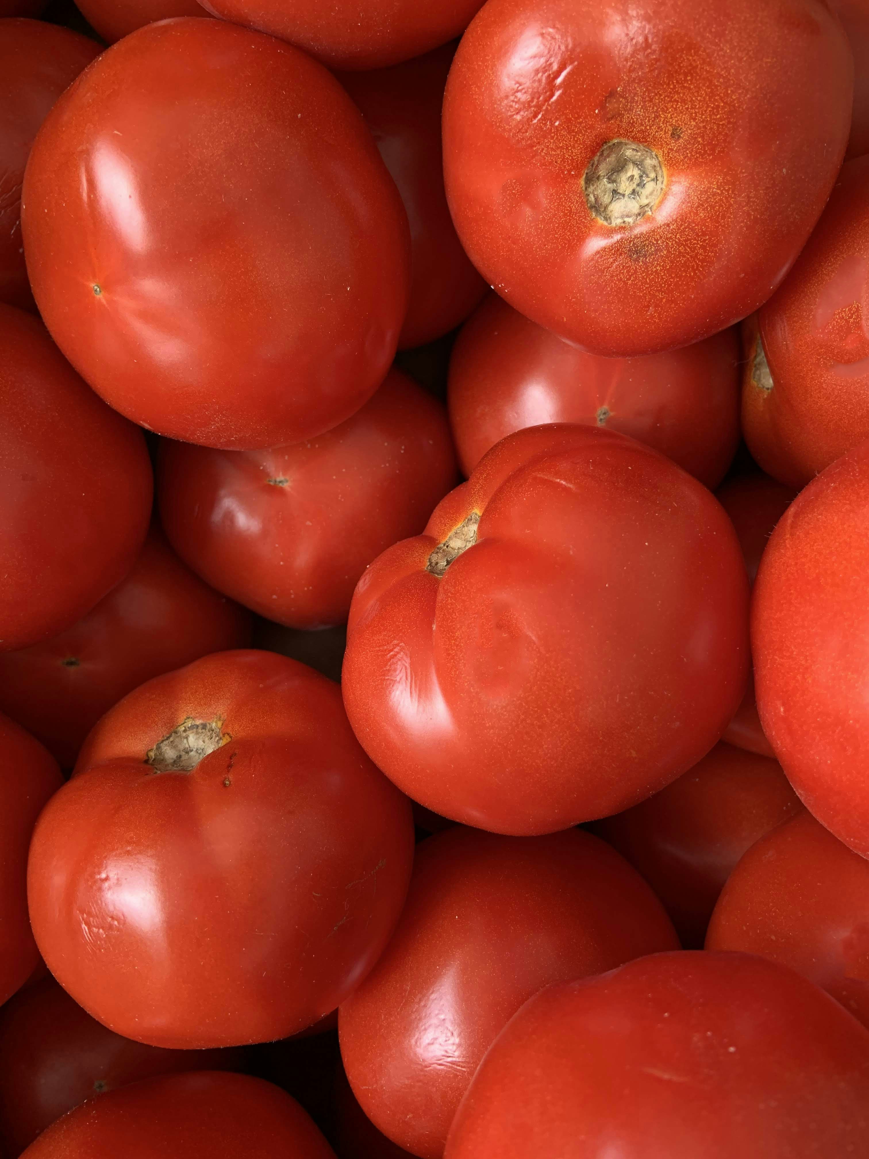 Tomatoes at a farmer's market in Delaware.