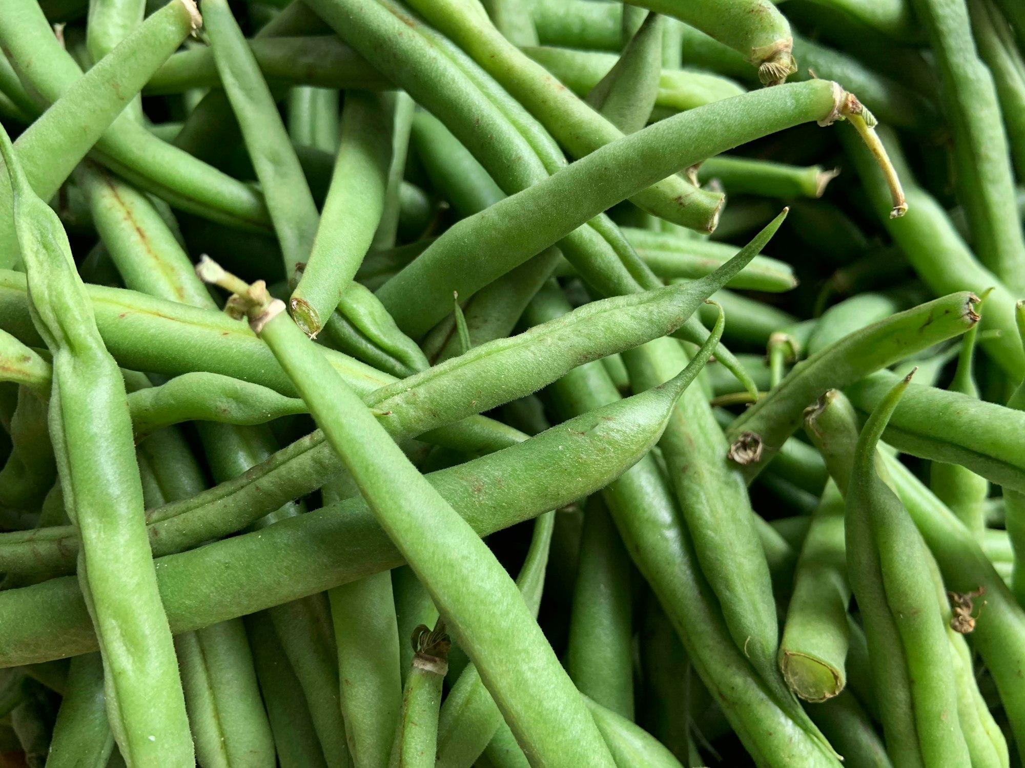 Cozinhar e Preservar Alimentos de Março