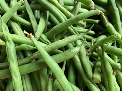 green kentucky beans beans teams background