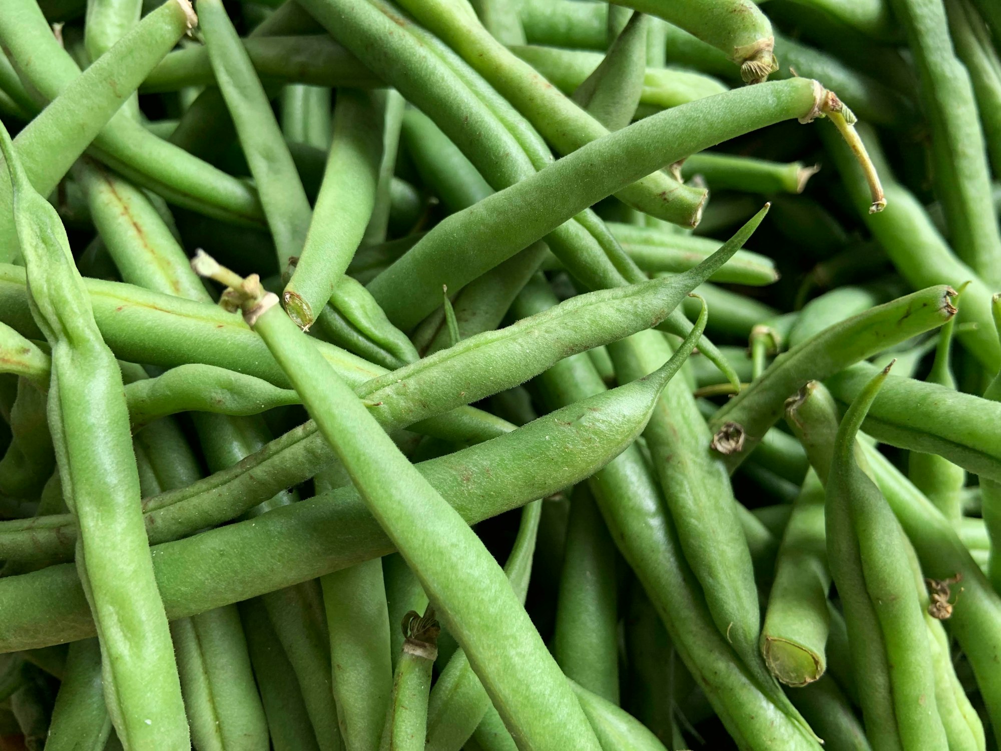 Green beans at a farmer's market in Rehoboth Beach, Delaware.
