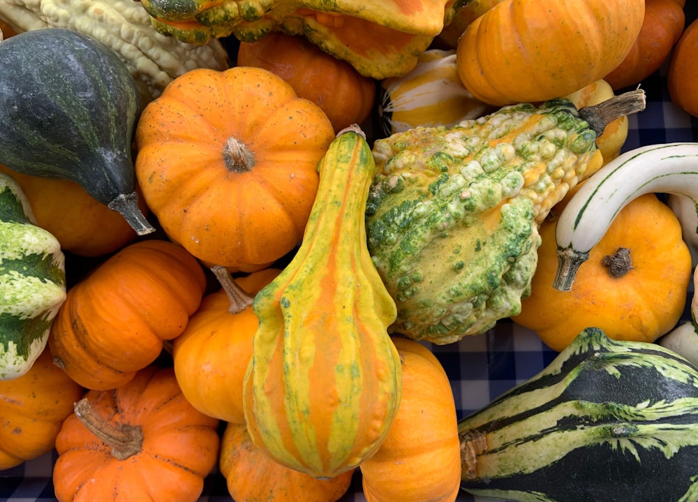 pile of squashes