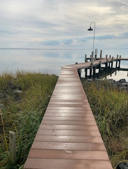 brown wooden dock during daytime