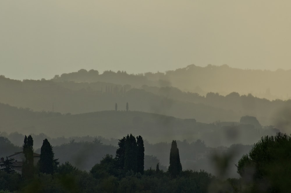 mountains with trees during daytime