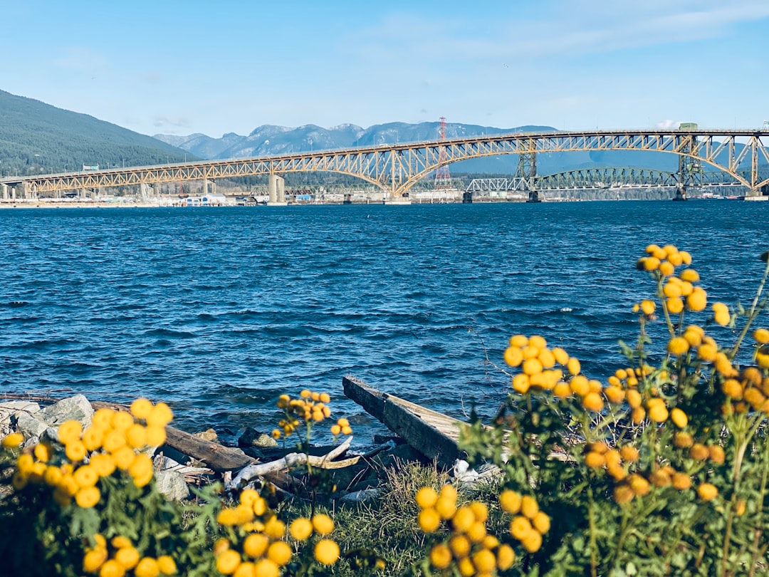 Bridge photo spot East Vancouver Coal Harbour