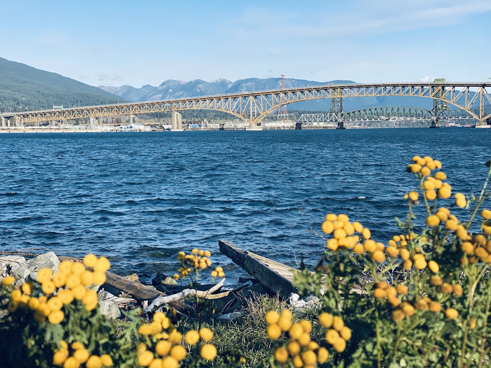 gray metal bridge during daytime