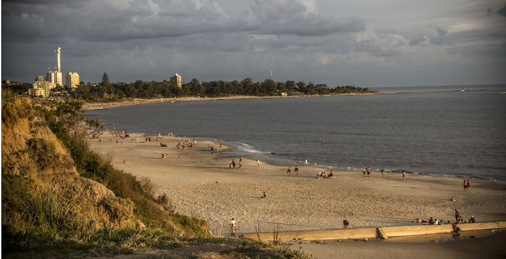 people near ocean