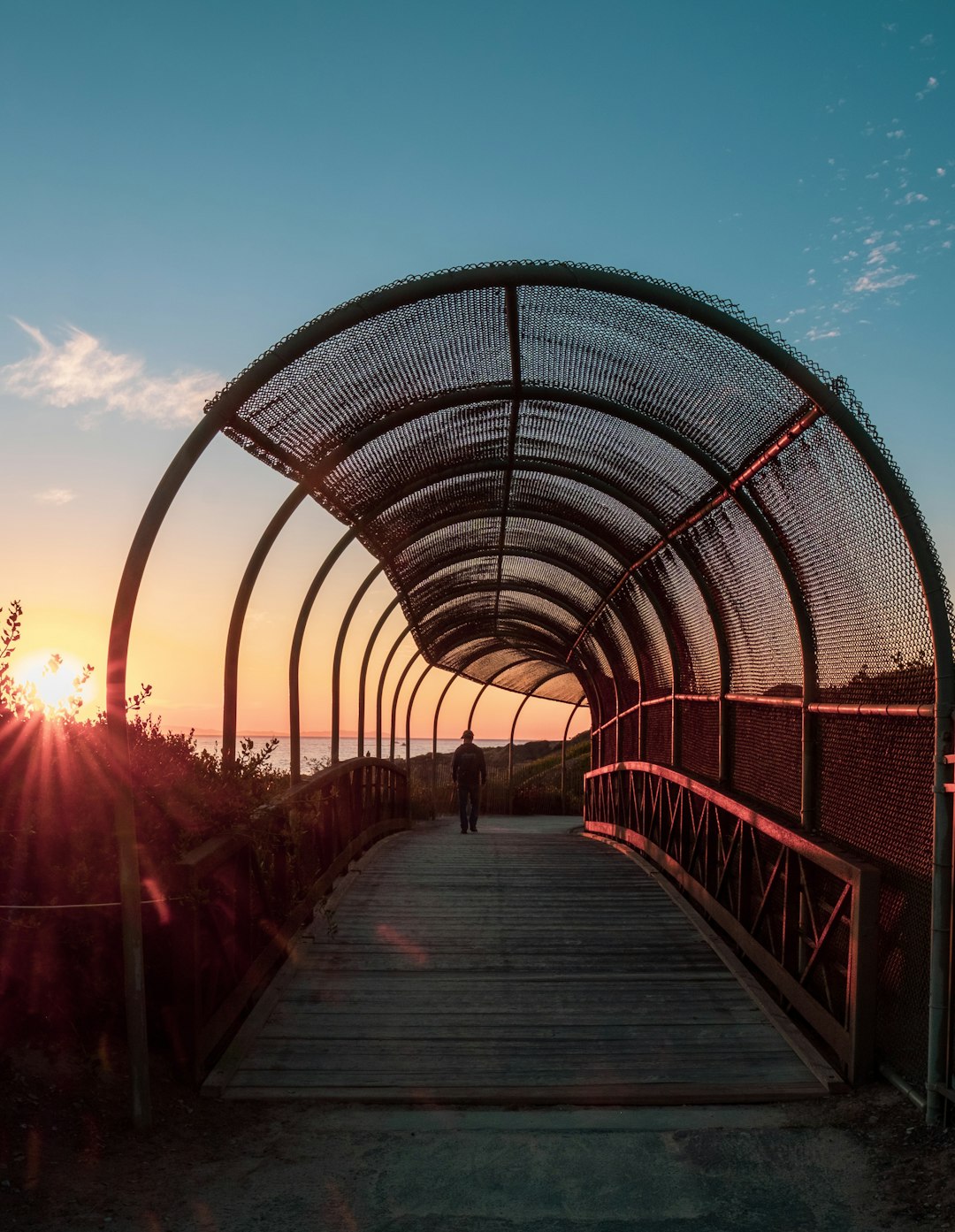 person walking on bridge with mesh roof