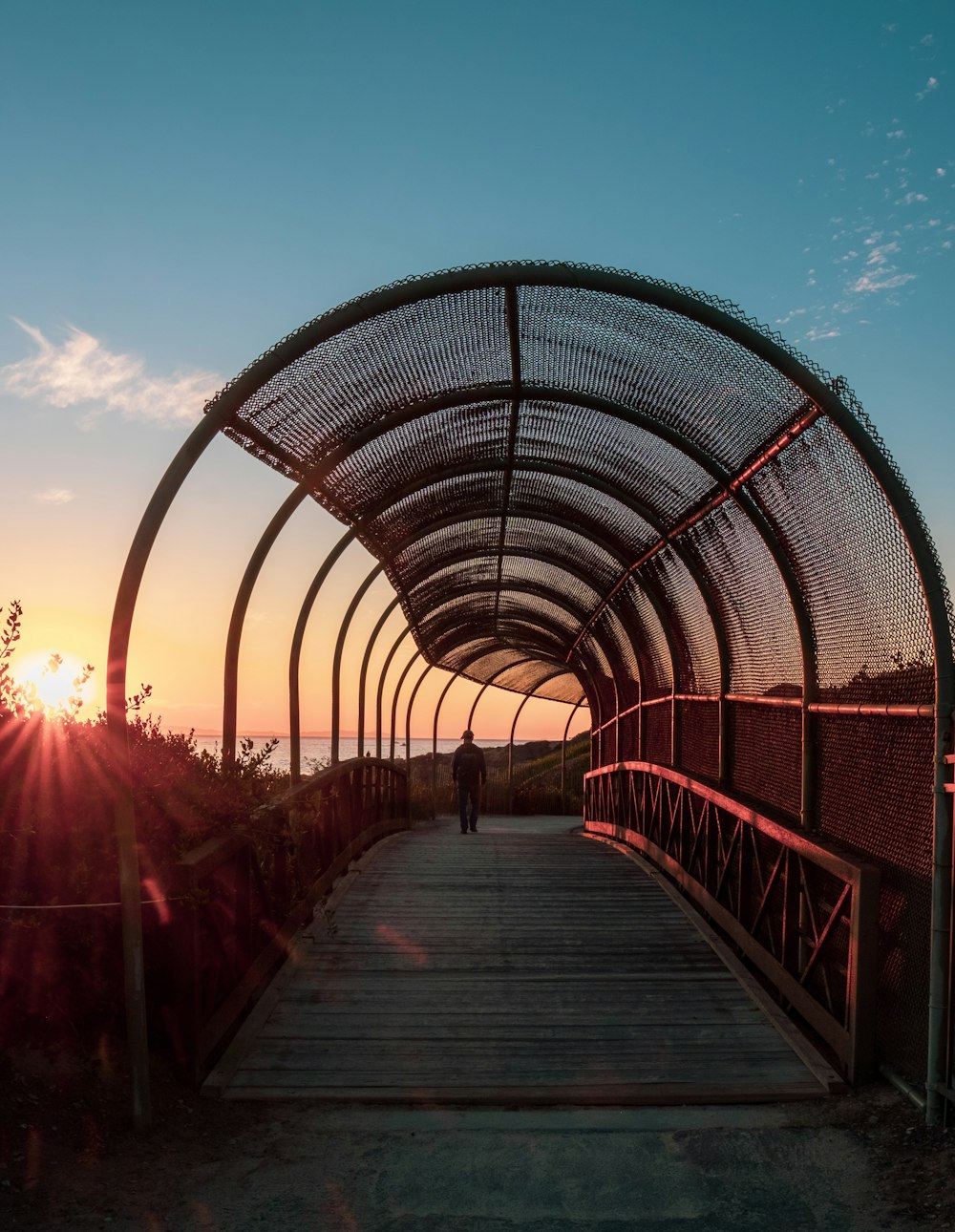 person walking on bridge with mesh roof