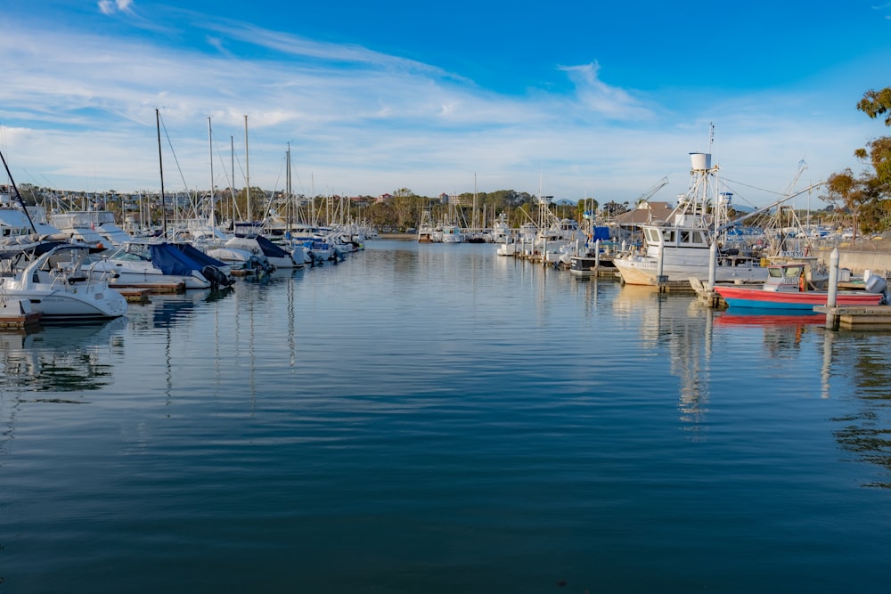 view photography of boats in water near dock during daytime