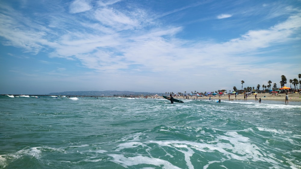 view photography of people in beach during daytime