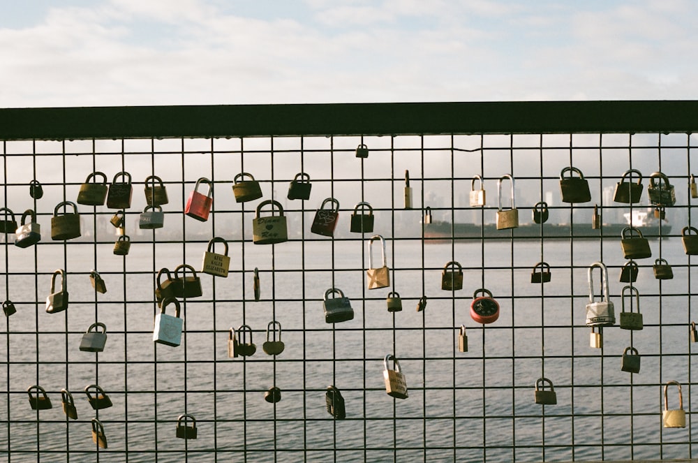 padlocks on metal railing near body of water