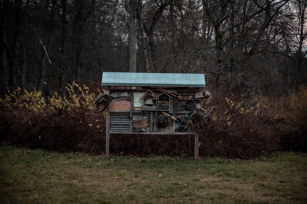 view photography of gray and brown bird house