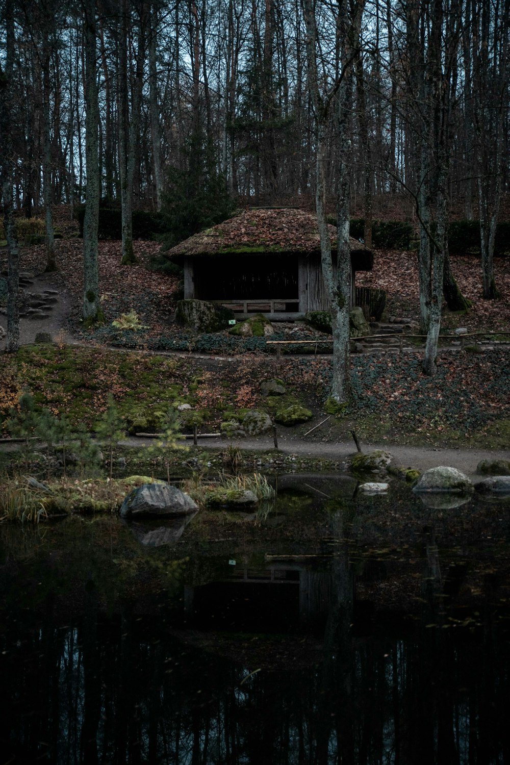 shed in the woods near body of water