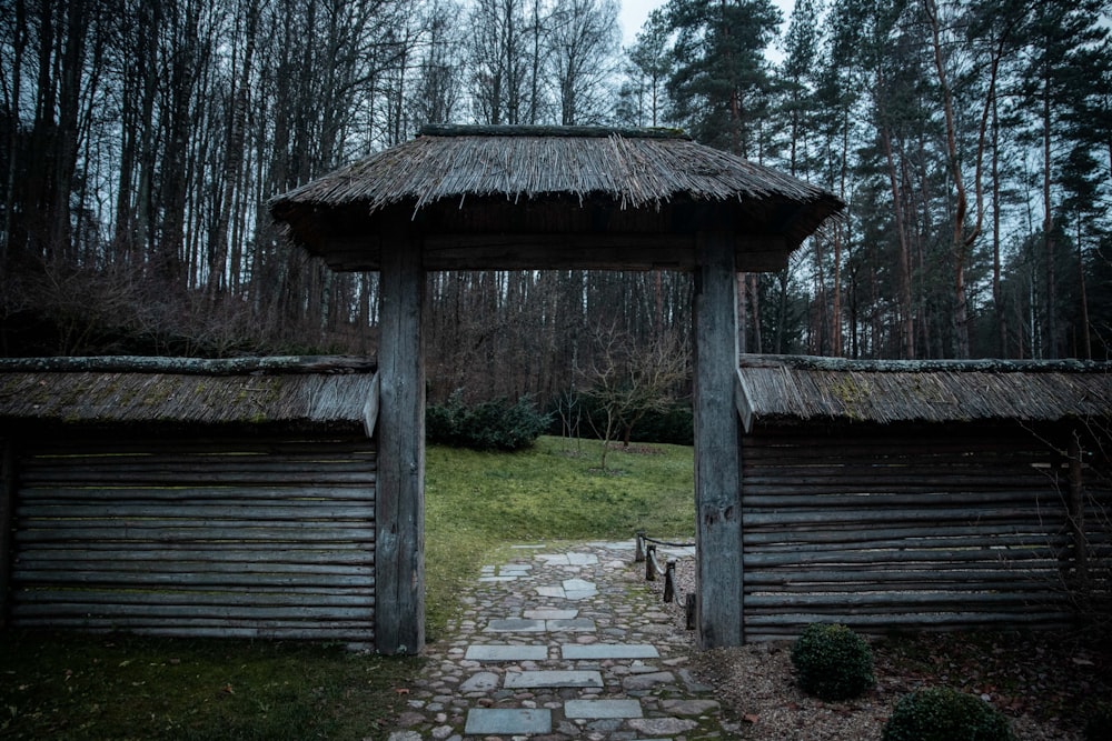 view photography of pathway