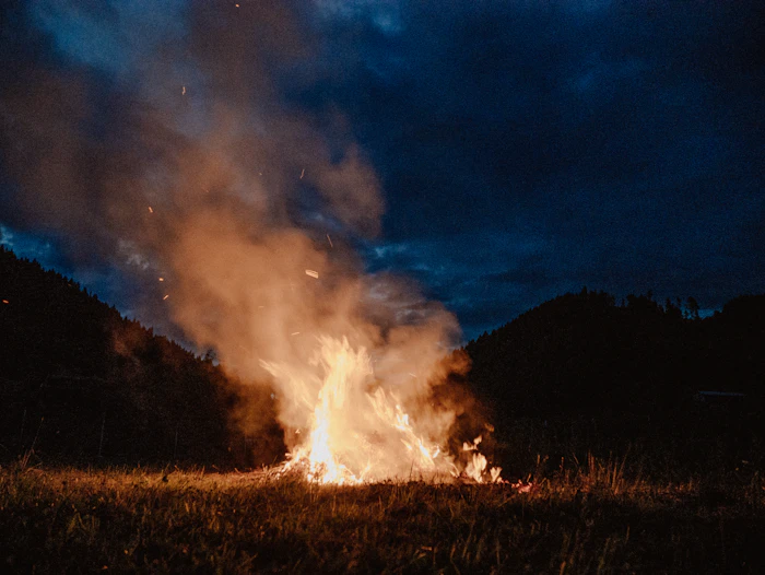 Dried grass engulfed in flames