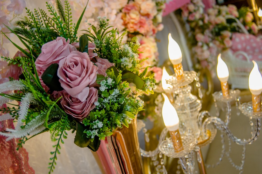 selective focus photography of pink Rose flowers