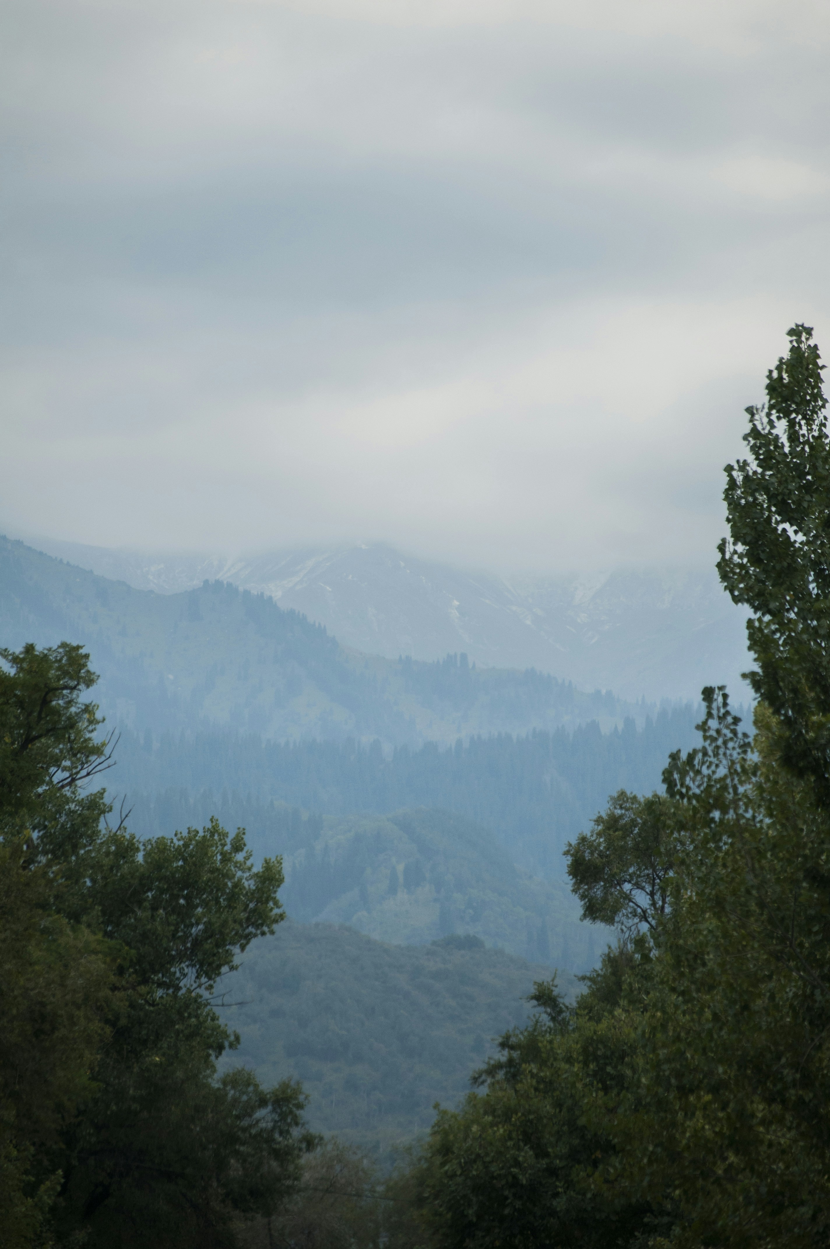 Photo by yuli_superson