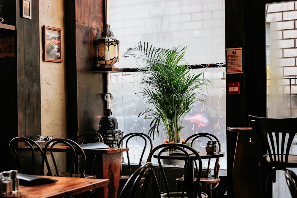 brown wooden dining tables near window and plant