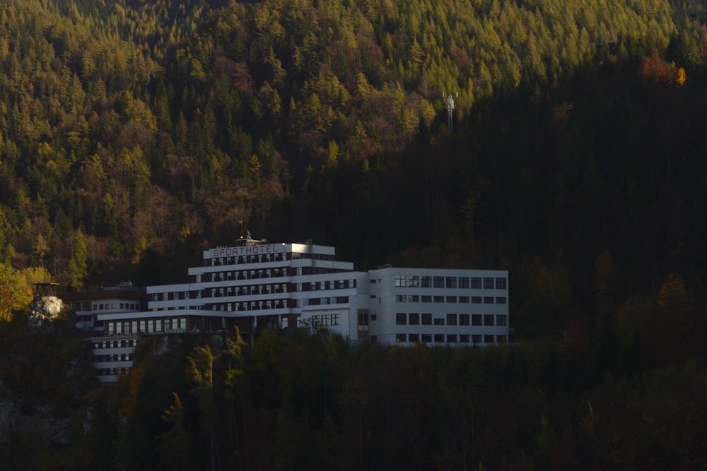 white building near forest