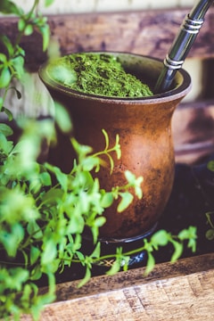 chimarrão