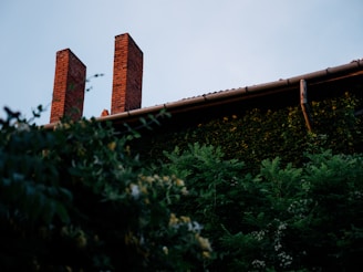 Two tall brick chimneys rise above the roof of a building covered in dense green foliage, creating a natural and rustic atmosphere.