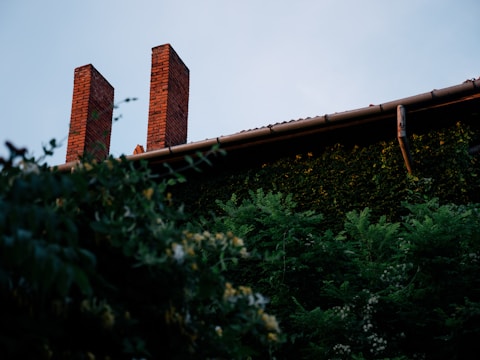 Two tall brick chimneys rise above the roof of a building covered in dense green foliage, creating a natural and rustic atmosphere.