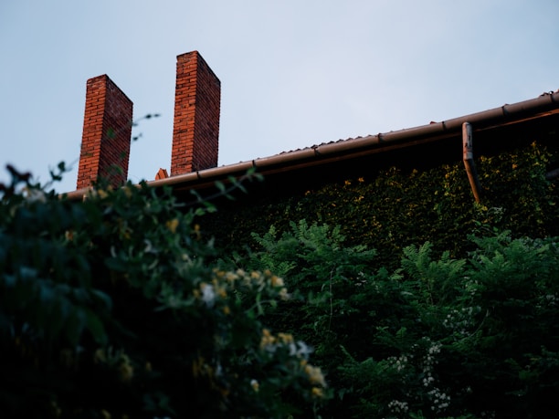Two tall brick chimneys rise above the roof of a building covered in dense green foliage, creating a natural and rustic atmosphere.