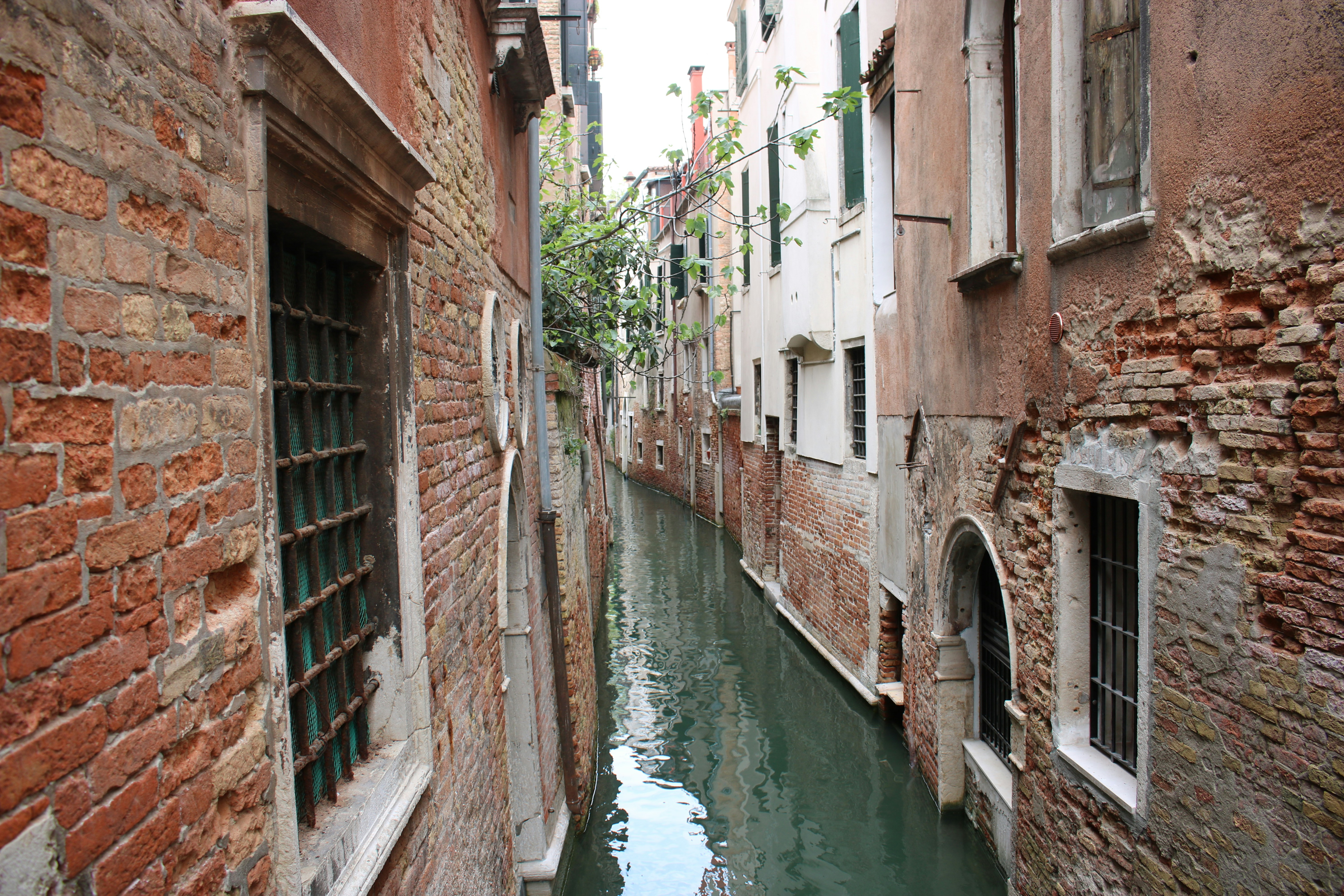 Photo by tateviktome