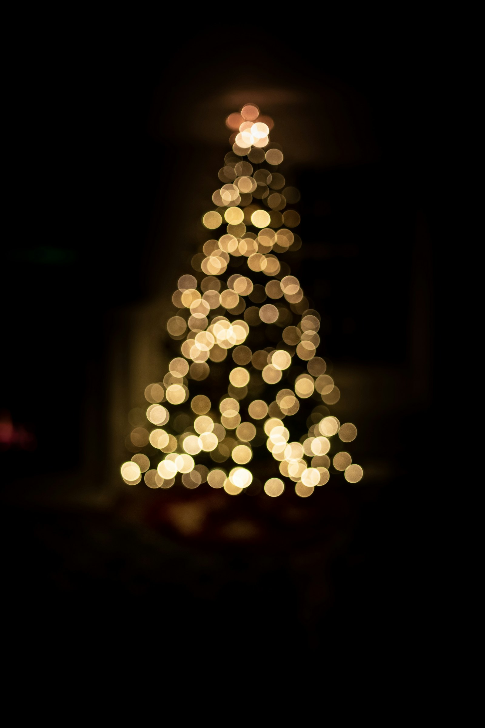 Leica M10 sample photo. Lighted christmas tree photography