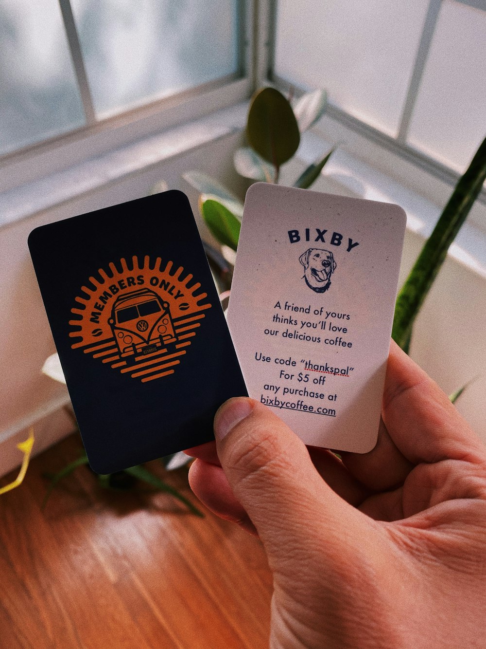 person holding two Members Only Bixby cards