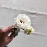 Close-up of a woman's hands gently holding a delicate flower over an off-white textured background.