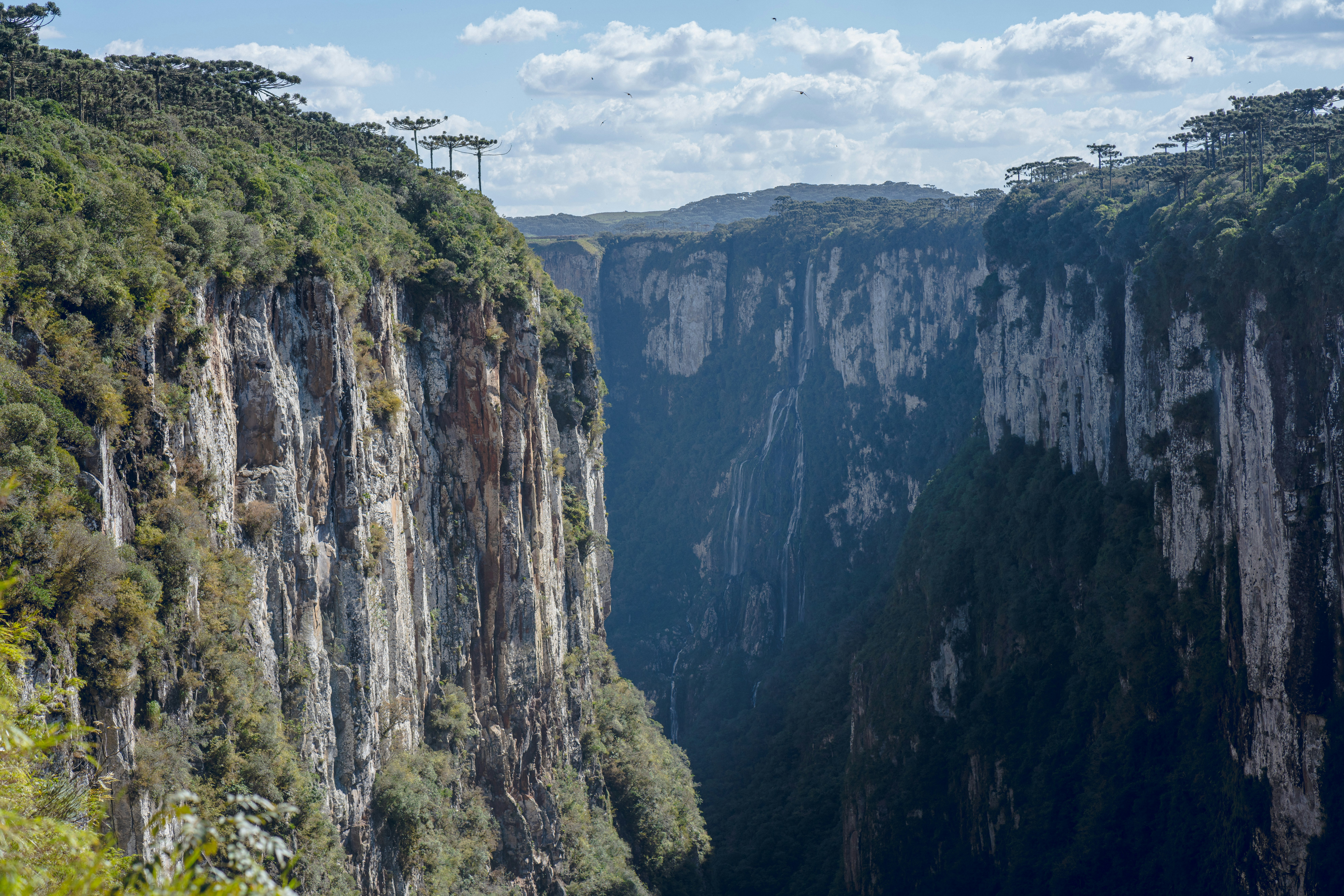 Paisaje de la Montaña Verde