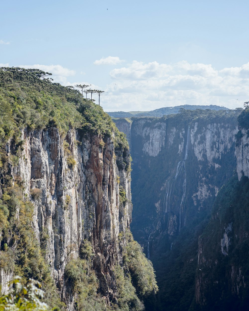 view of cliffs with trees on top during daytime