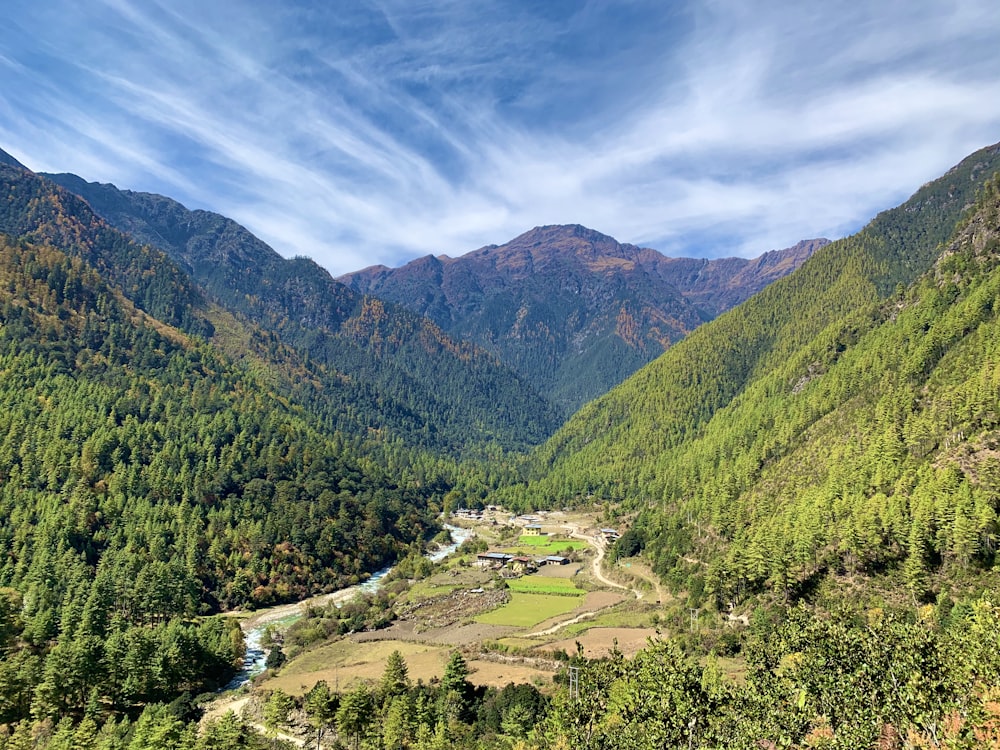 view of valley covered with trees by mountain during daytime