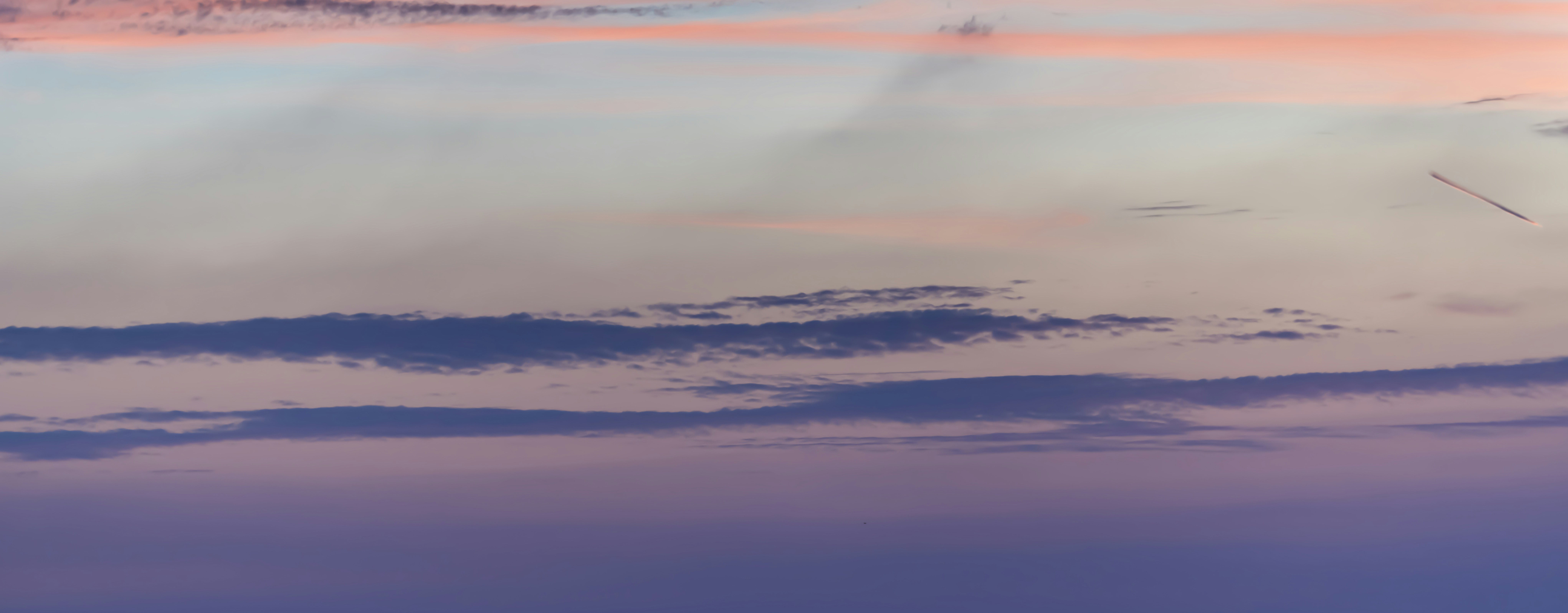 Photo by georgerosema