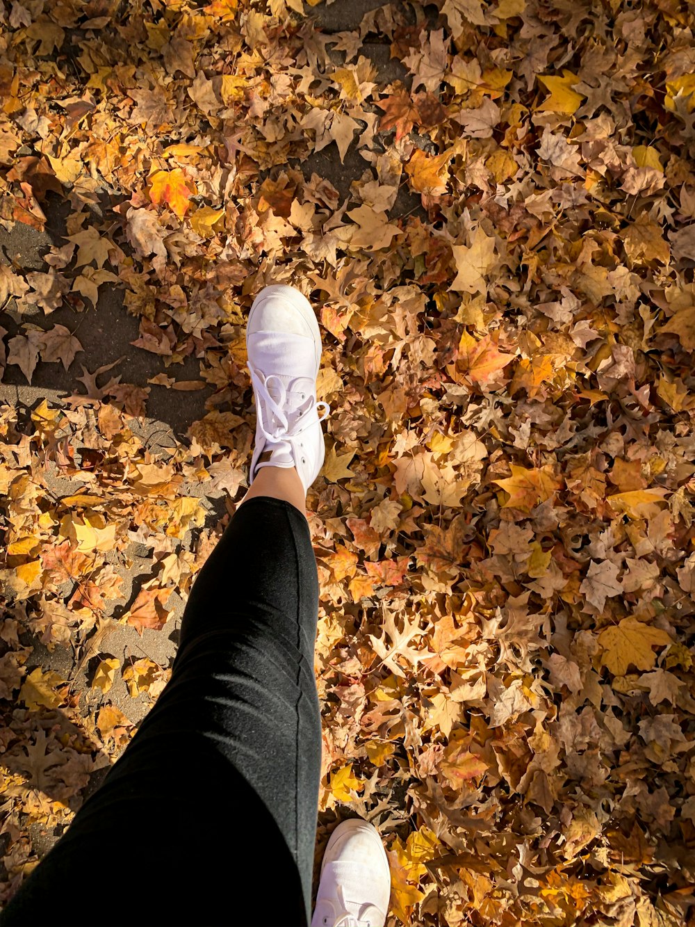 woman about to take one steps on dried leaves
