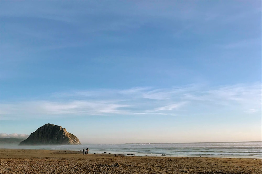 two person walking on beach