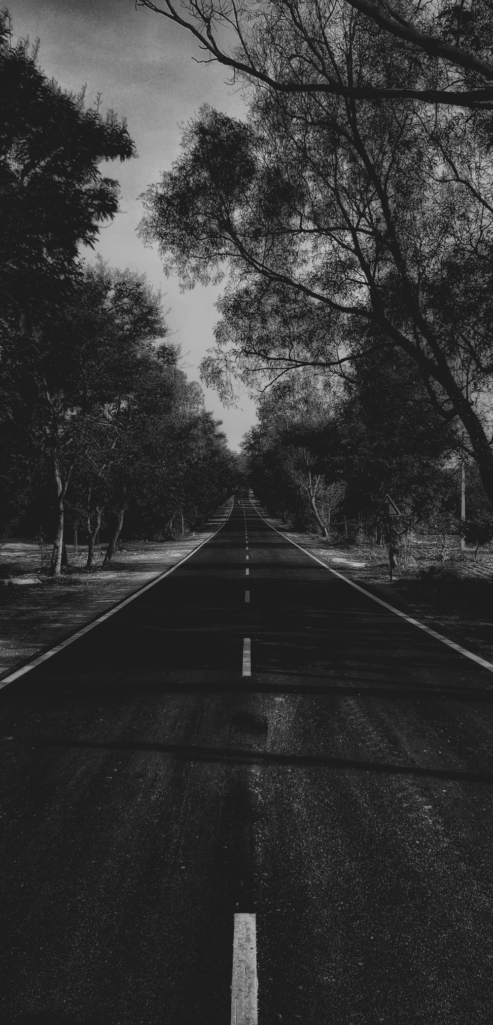 Foto en escala de grises de una carretera asfaltada