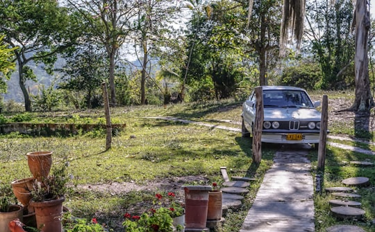 white sedan beside trees in Lebrija Colombia