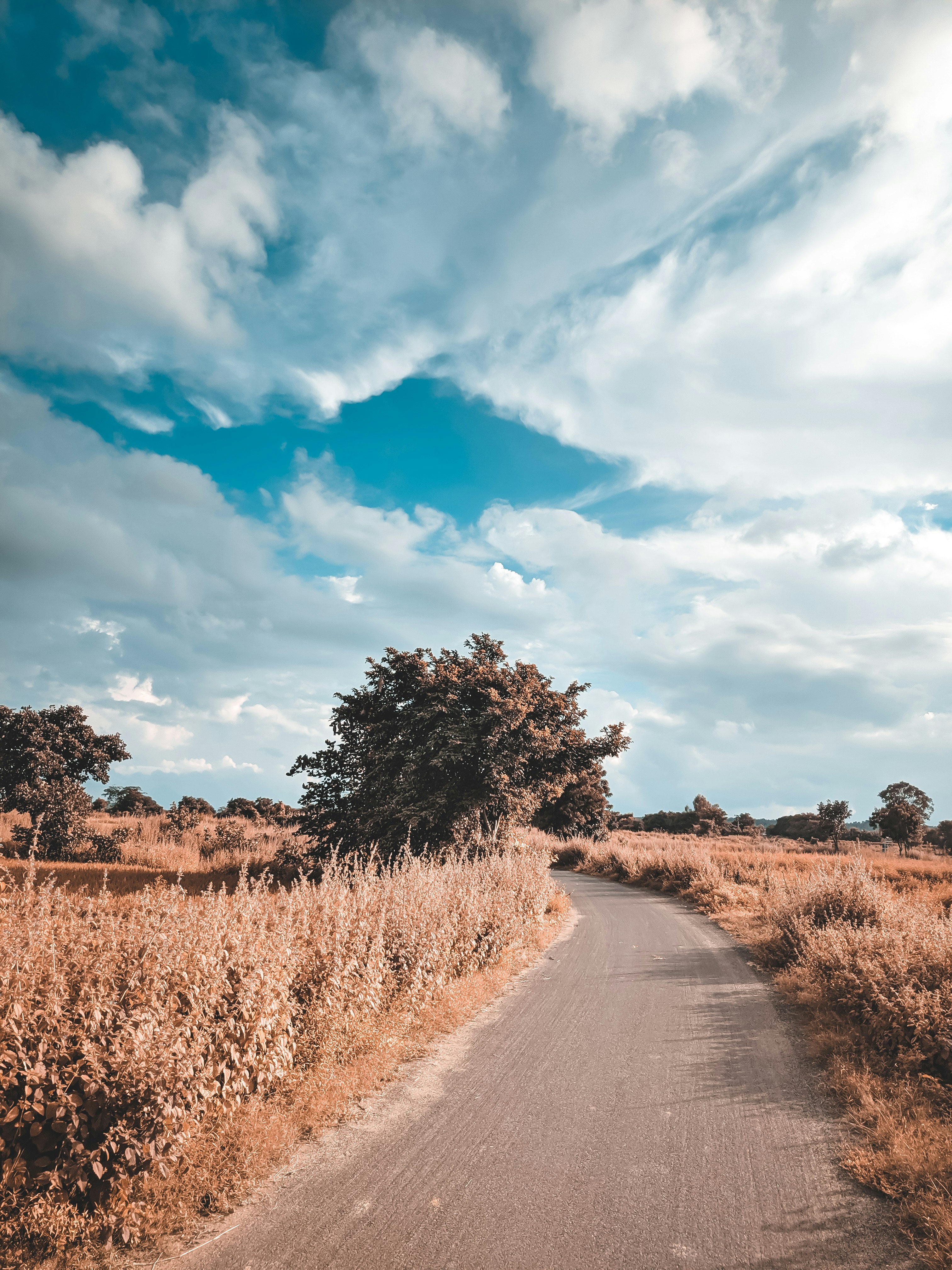 Photo by sainigham73