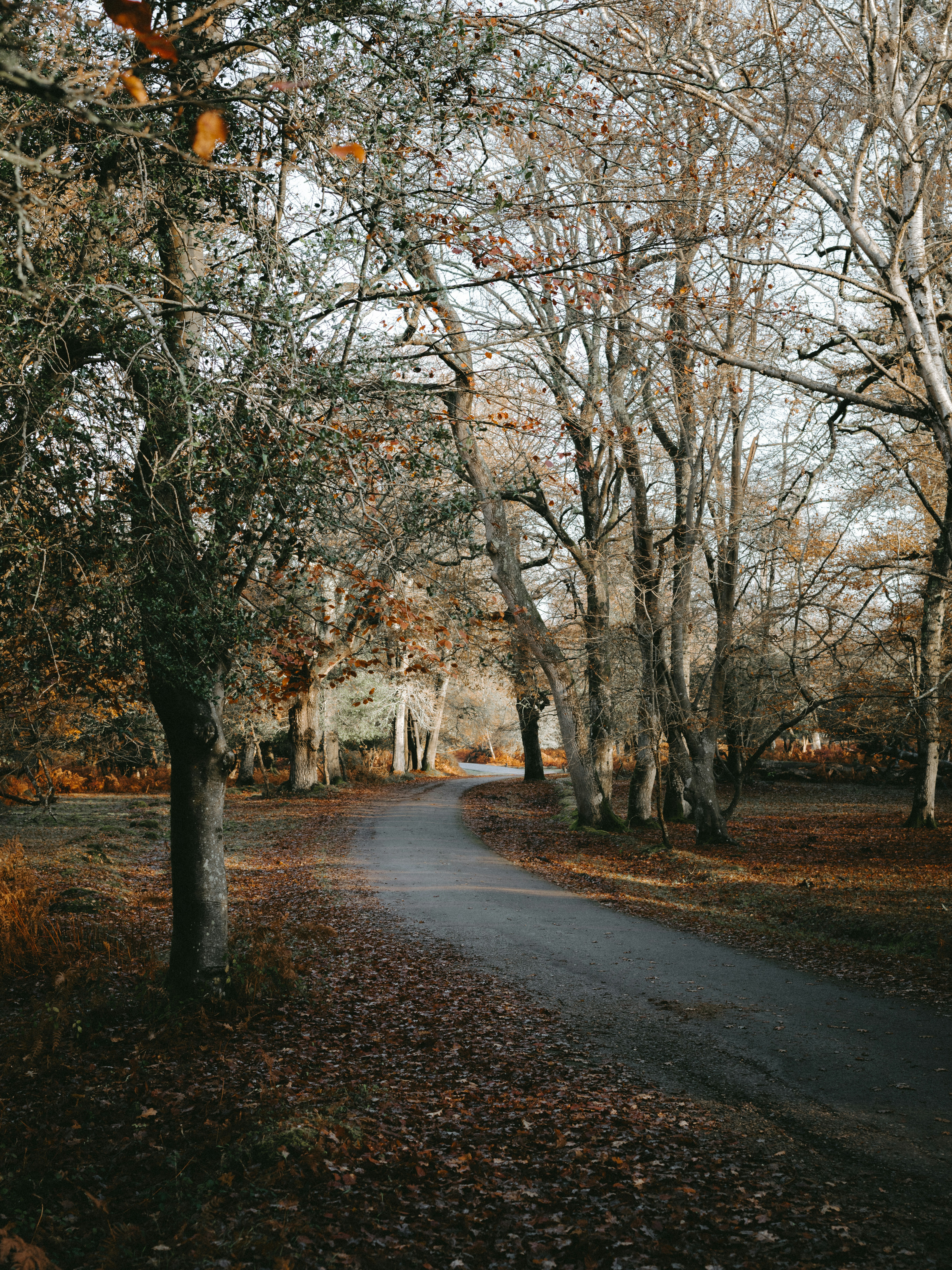 Pentax 645Z sample photo xX1nW0gByH ExploreCams