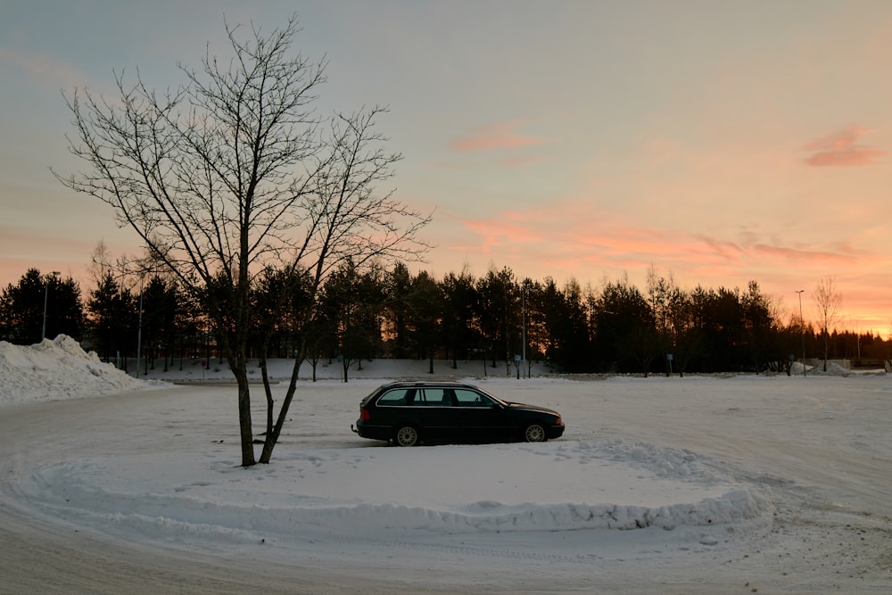 parked card near bare tree