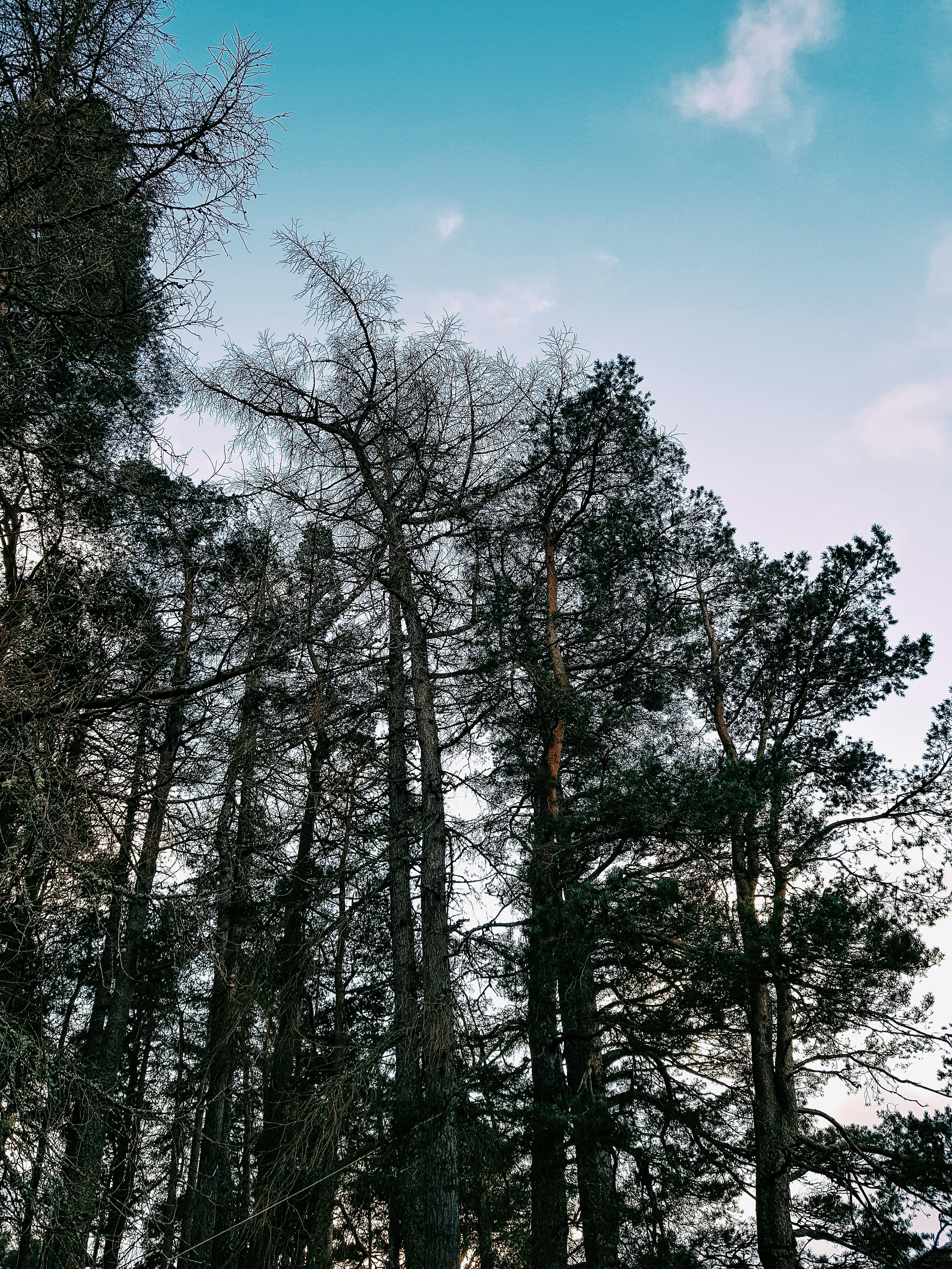 Photo by iamthomasurquhart