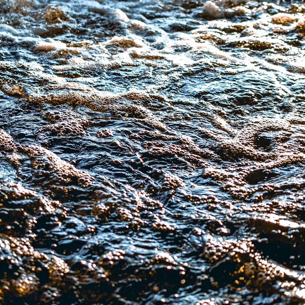 olas marinas durante el día