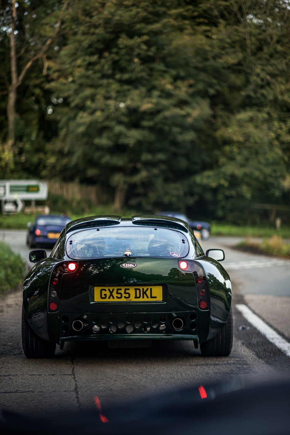 cars on road near trees