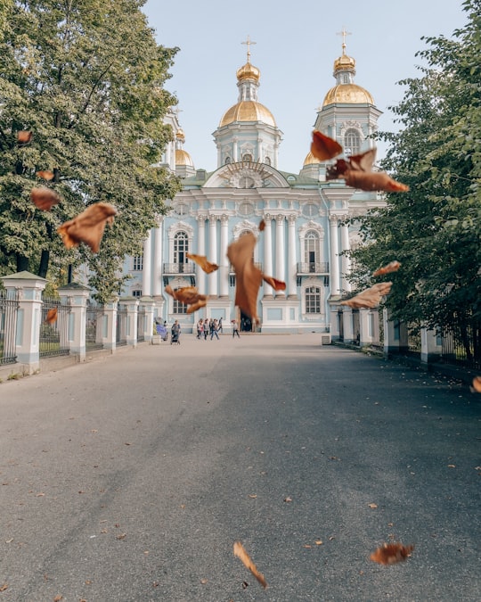 timelapse photography of withered leaves on air during daytime in Cathédrale Saint-Nicolas-des-Marins de Saint-Pétersbourg Russia